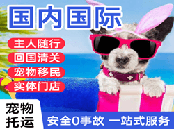 浦东航空托运国际宠物托运 【国