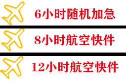 浦东航空托运快递公司,专业空运当天件